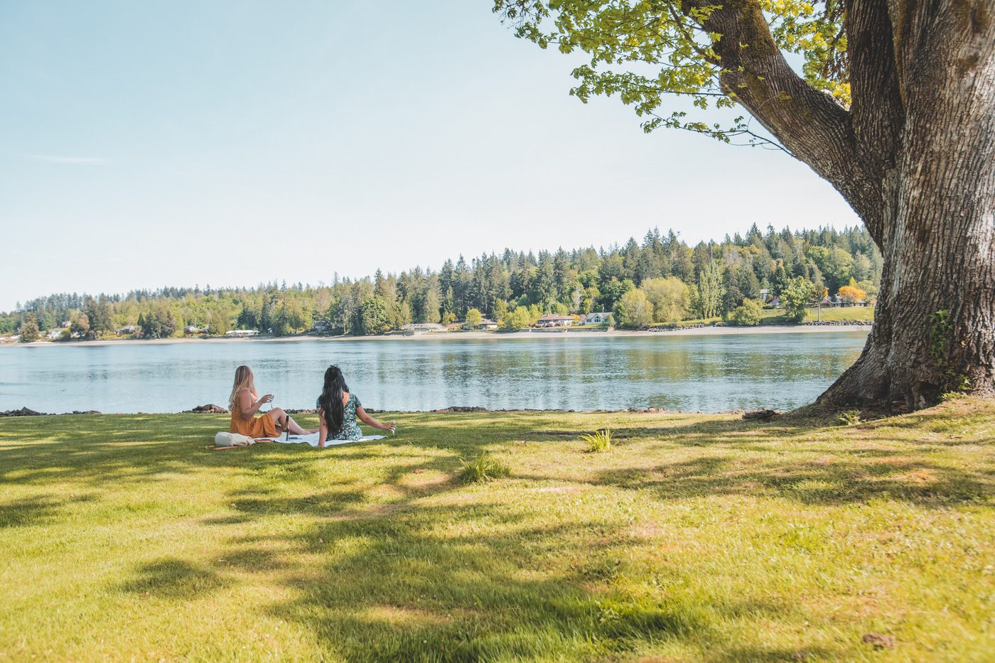 Hood Canal waterfront on a sunny summer day
